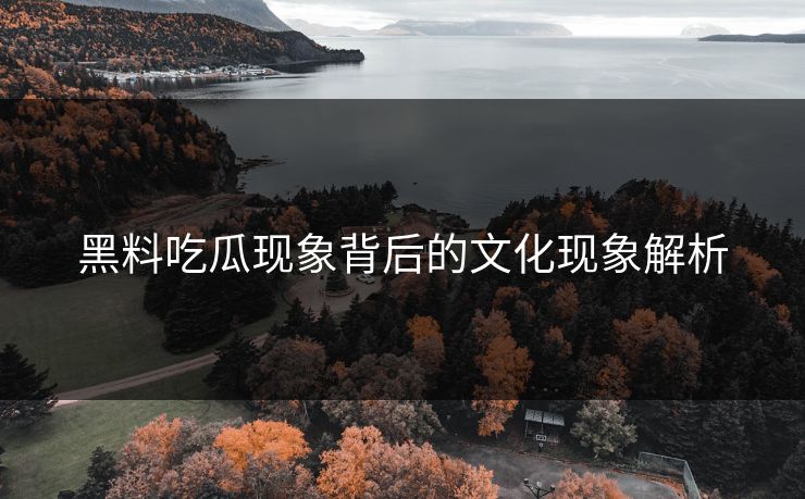 黑料吃瓜现象背后的文化现象解析