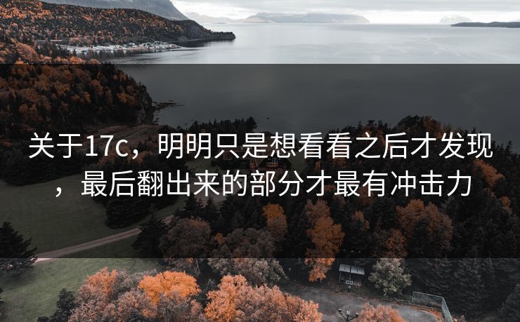 关于17c，明明只是想看看之后才发现，最后翻出来的部分才最有冲击力