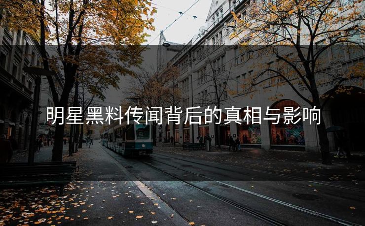 明星黑料传闻背后的真相与影响