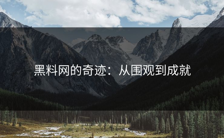 黑料网的奇迹：从围观到成就