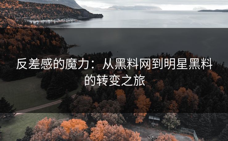 反差感的魔力：从黑料网到明星黑料的转变之旅