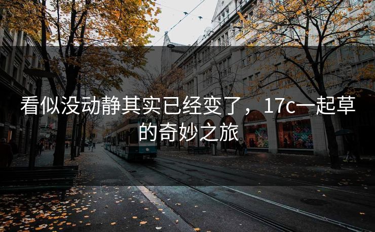看似没动静其实已经变了，17c一起草的奇妙之旅